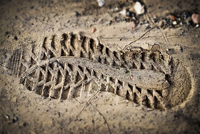CBSE Class 10 English – Footprints without Feet
